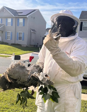 Residential pest control - bee suit