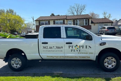 peoples-pest-control6 Peoples Pest Control in DE, PA, NJ